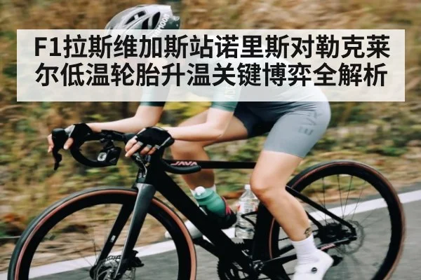 F1拉斯维加斯站诺里斯对勒克莱尔低温轮胎升温关键博弈全解析（kaiyun.com）