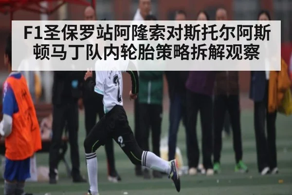 F1圣保罗站阿隆索对斯托尔阿斯顿马丁队内轮胎策略拆解观察